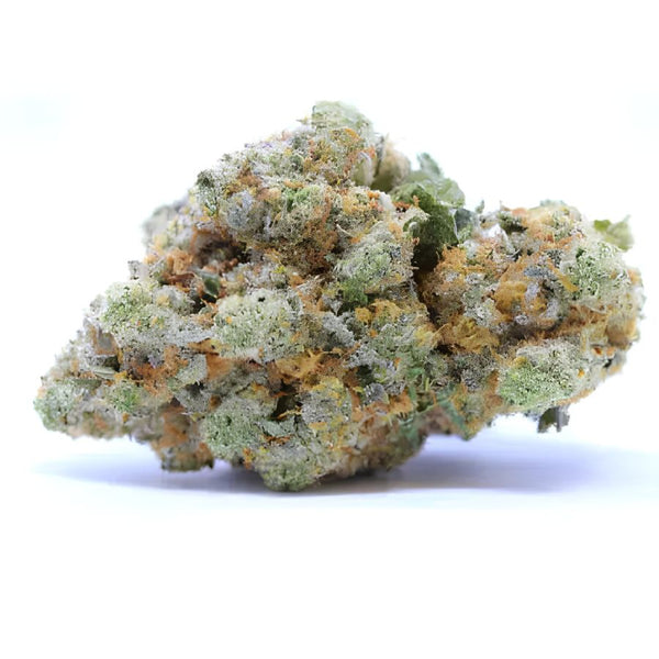 Blueberry Diesel TH-X fleur brute fond blanc