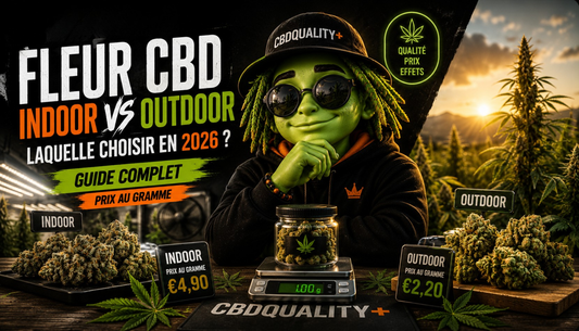 Fleur CBD Indoor vs Outdoor : Laquelle Choisir en 2026 ? (Guide Complet Prix au Gramme)