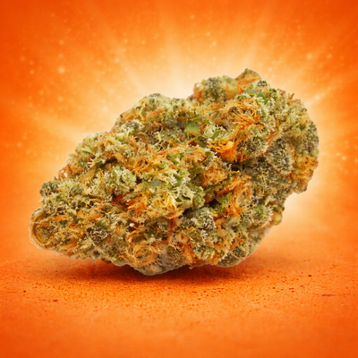 BlueBerry (SmallBud)