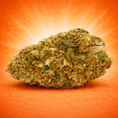 BubbleGum (SmallBud)