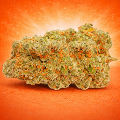 Girl Scoot Cookies (GlassHouse)