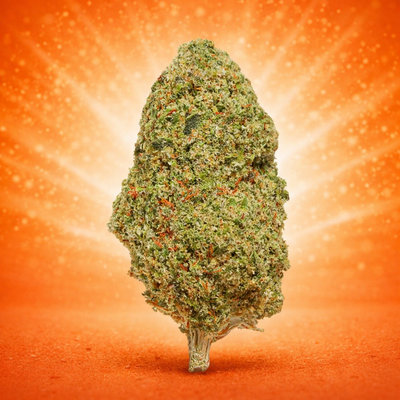 Gorillia Glue (GlassHouse)