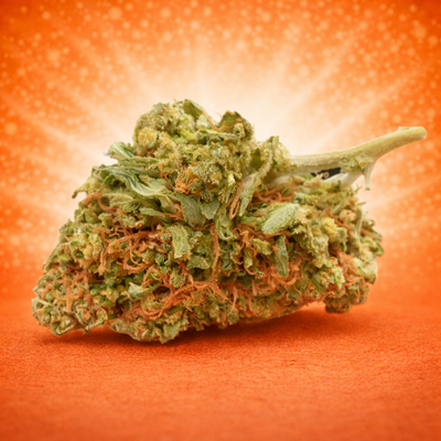 SmallBerry (SmallBud)