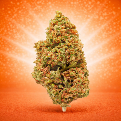 Super Lemon (GlassHouse)