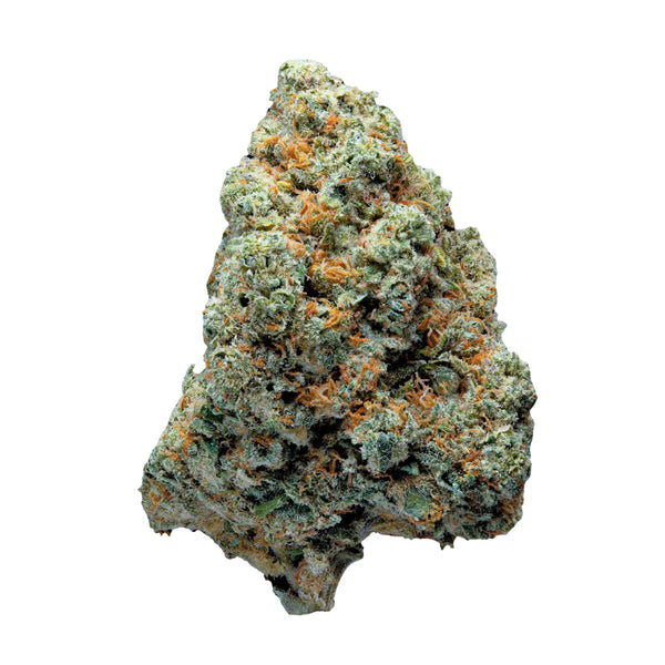Super Amnesia TH-X fleur brute fond blanc