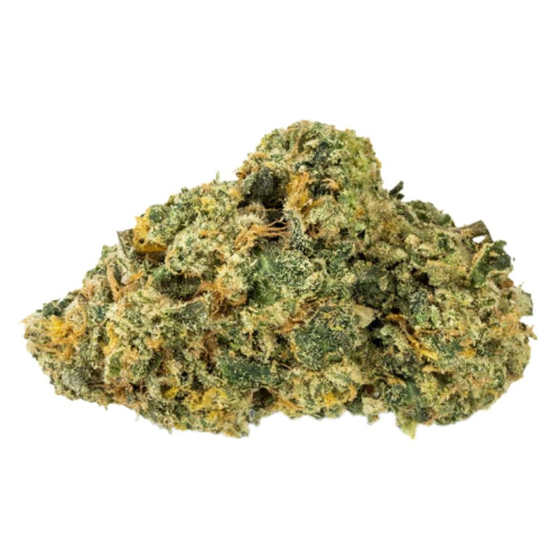 Peach Haze TH-X fleur brute fond blanc