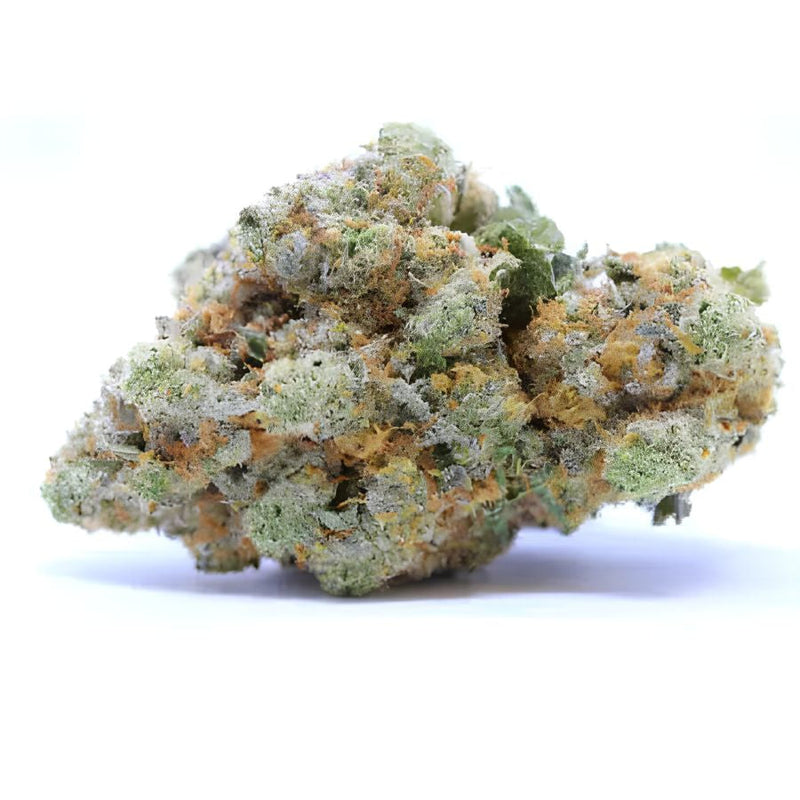 🎁 Blueberry Diesel TH-X (100% off)