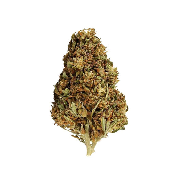 🎁 Watermelon OG THC+ (100% off)