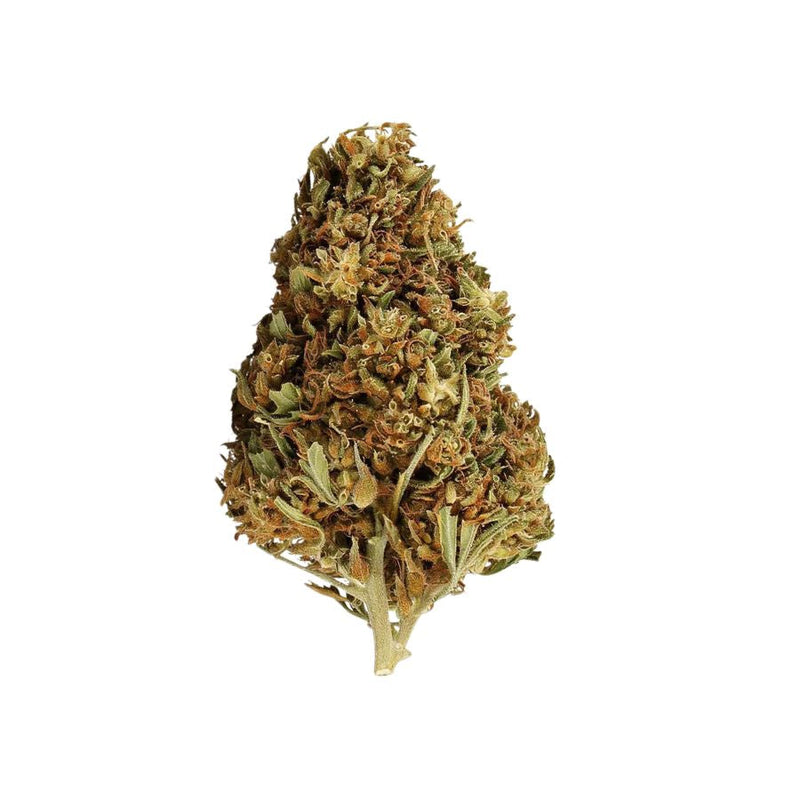 🎁 Watermelon OG THC+ (100% off)