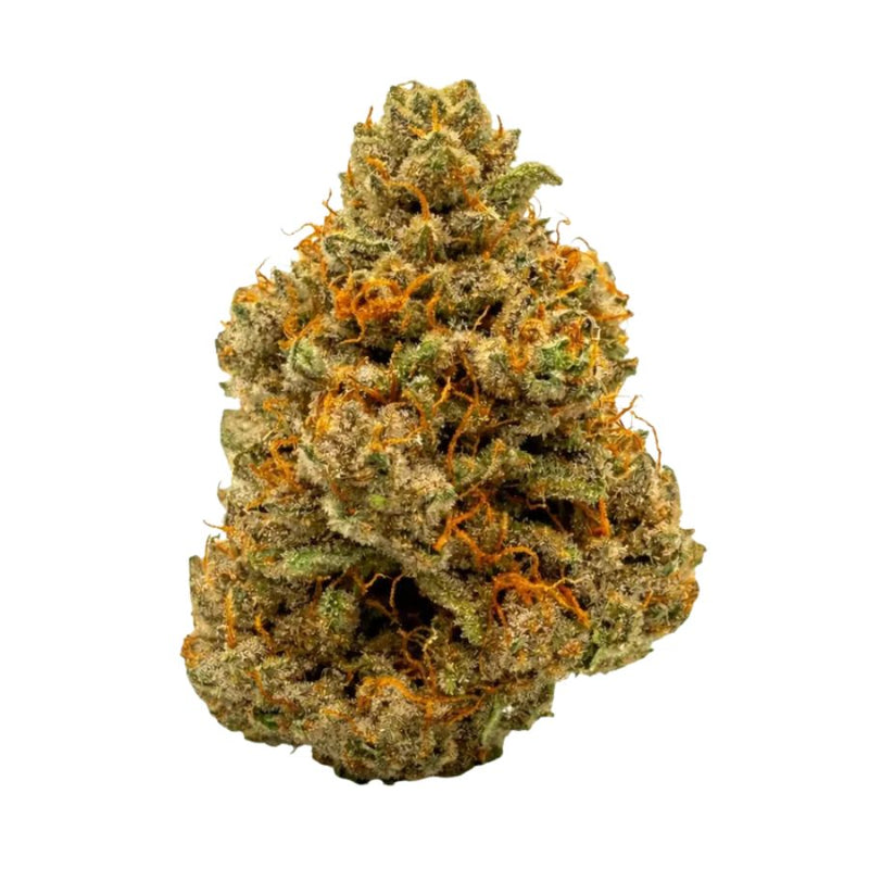 Purple Zkittlez THC+ fleur brute fond blanc