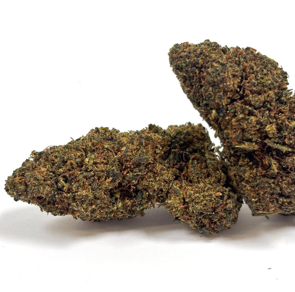 Jack Herrer 40% THC+